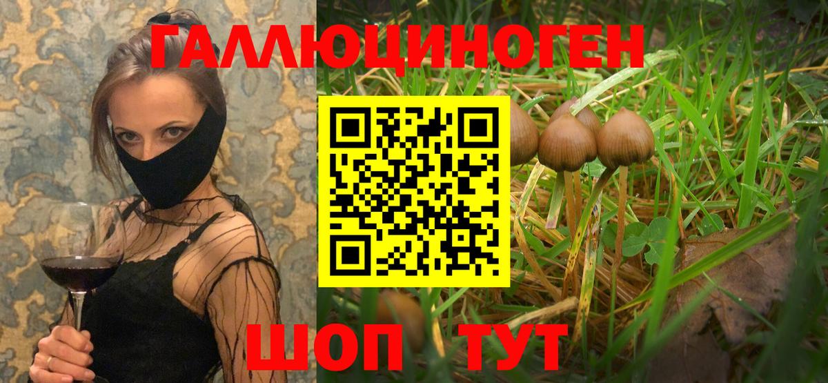 Чебаркуль  Галлюциногенные грибы GOLDEN TEACHER  Вход с VPN  Псилоцибиновые грибы мухоморы 